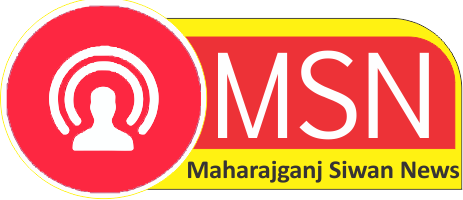 MSN NEWS